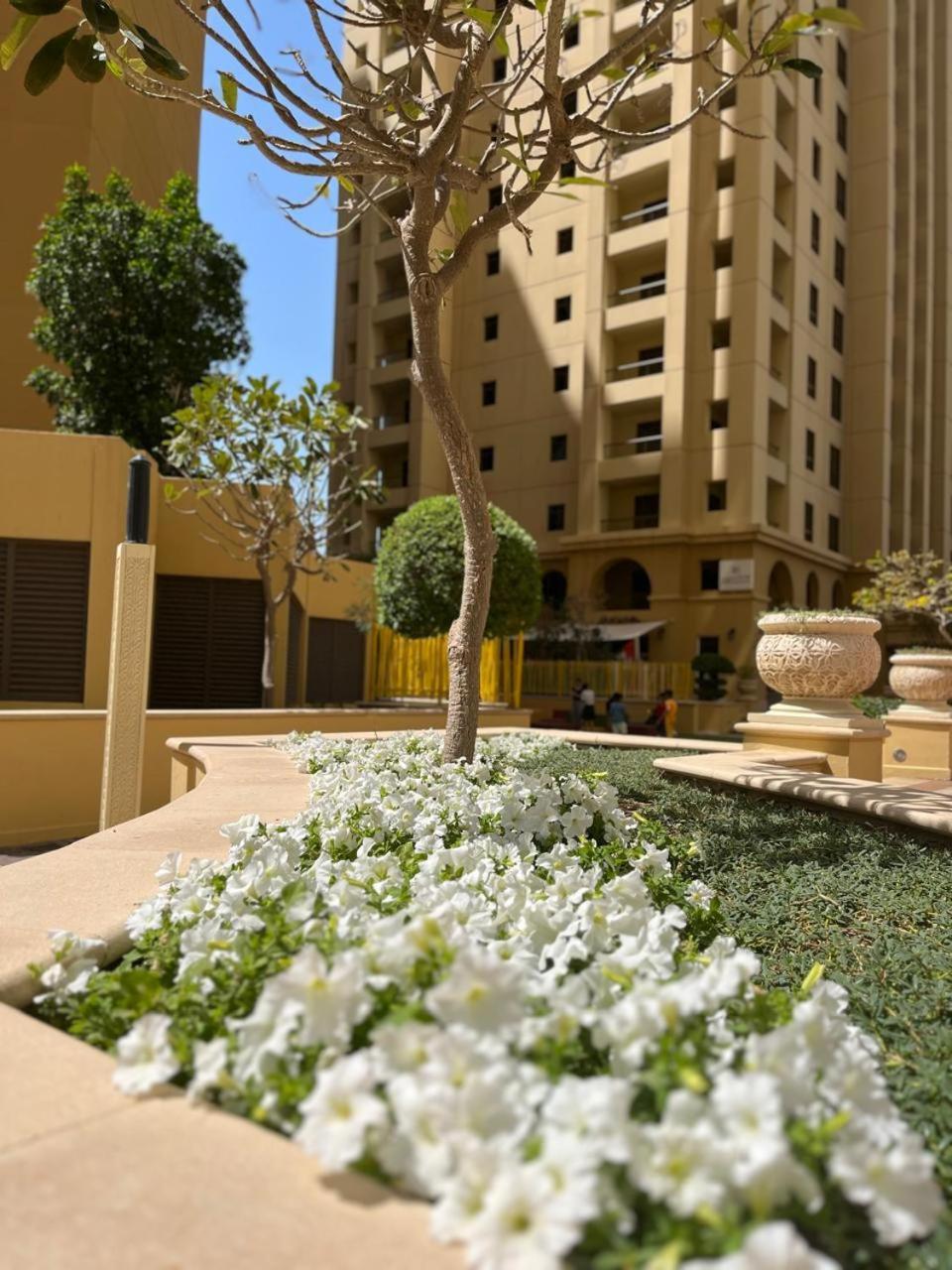 Pirates Bay Hostel Dubai Ngoại thất bức ảnh